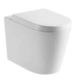 Ladoga Back to Wall Toilet 