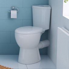 Corner Toilets