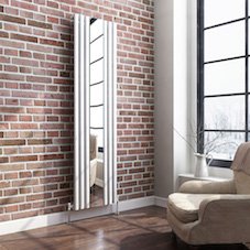 Mirrored Oval Tube Vertical Radiators